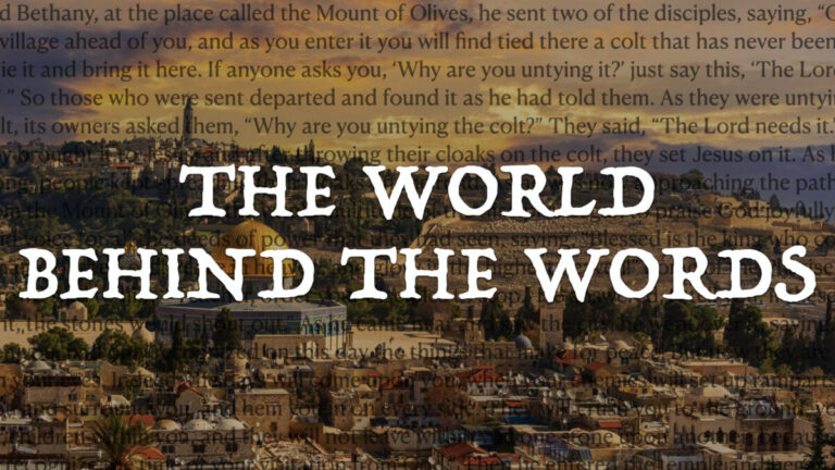 The World Behind the Words: The World We Don’t See